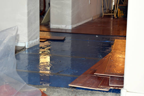 Professional Sewage Cleanup technician working in Carbon, TX